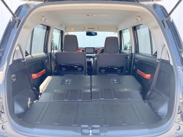 25591428_carP_l_5.jpg