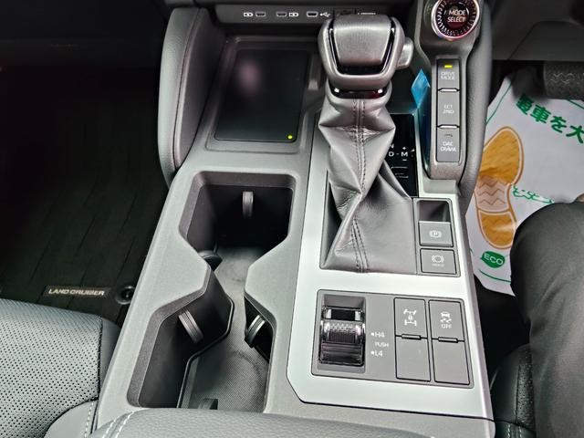 0401984A30260908W00107.jpg