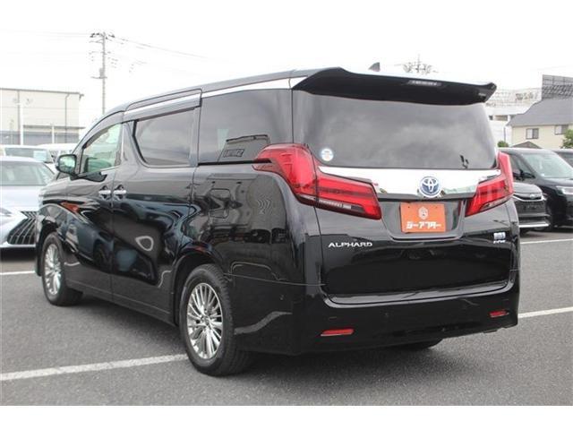 24495489_carP_l_5.jpg