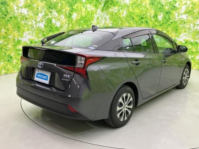 26028423_carP_l_15.jpg
