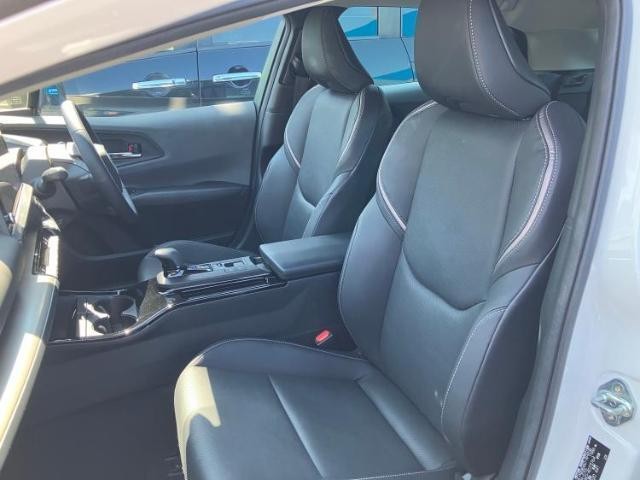25487774_carP_l_10.jpg
