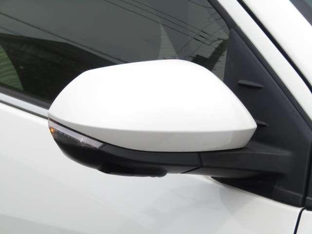24568189_carP_l_9.jpg