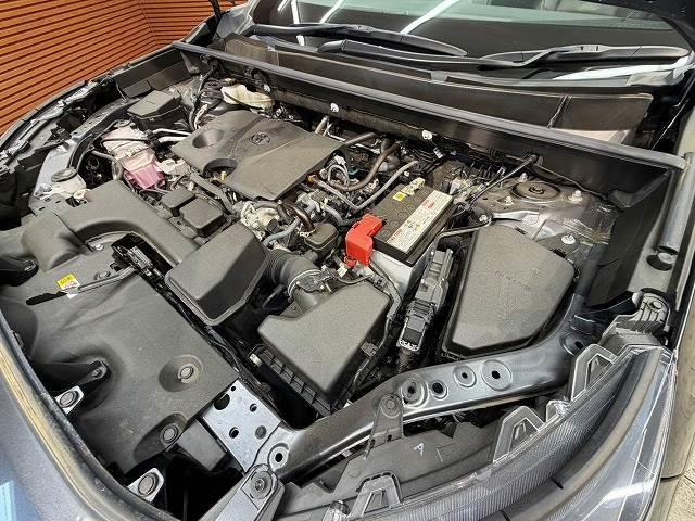 23530147_carP_l_8.jpg