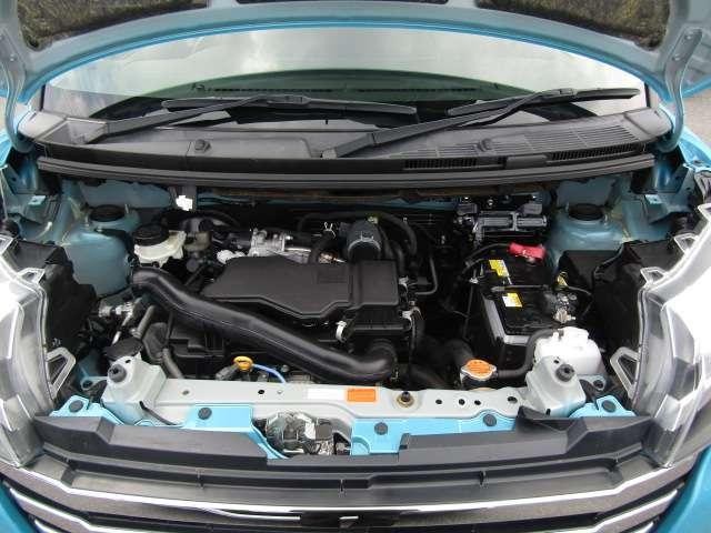 25406098_carP_l_11.jpg