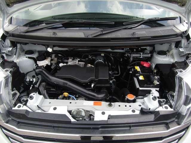 25406236_carP_l_6.jpg