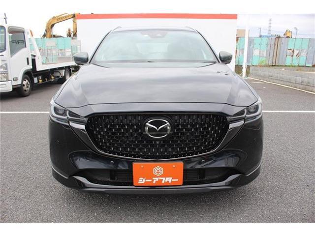 24495491_carP_l_17.jpg