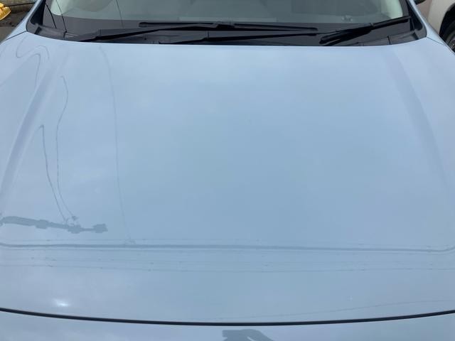 0403313A30260907W00106.jpg