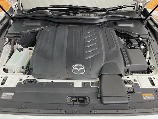23111999_carP_l_20.jpg