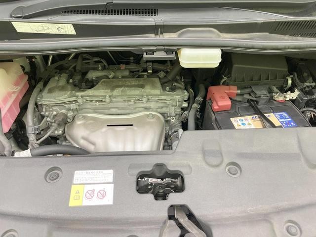 25364045_carP_l_18.jpg