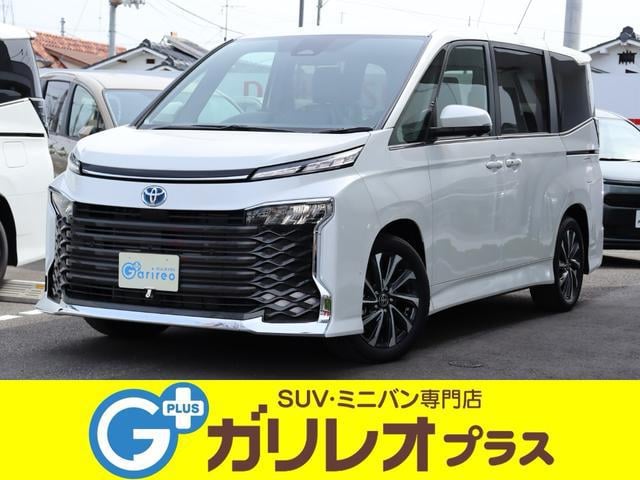 23125296_carP_l_1.jpg