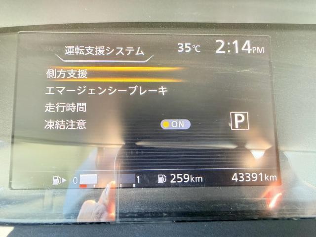 25759918_carP_l_14.jpg