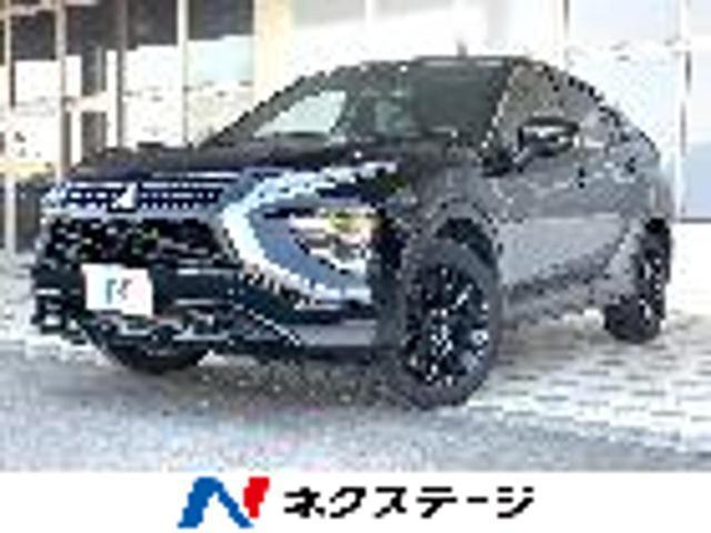 25754455_carP_l_1.jpg