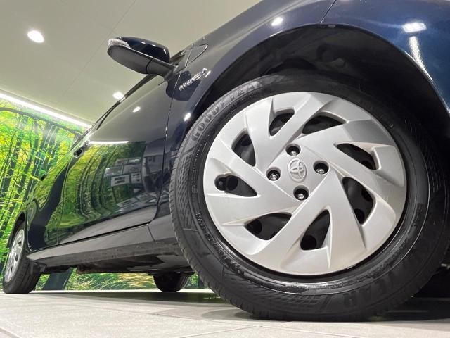 26688663_carP_l_7.jpg