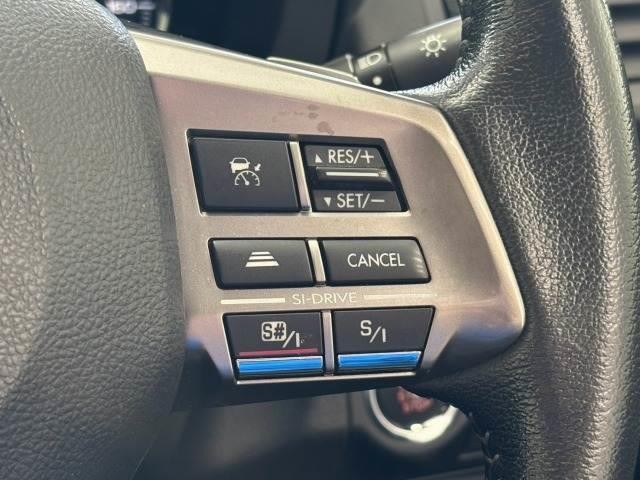 26287308_carP_l_10.jpg