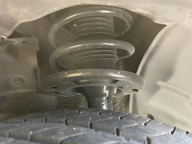 25942885_carP_l_20.jpg