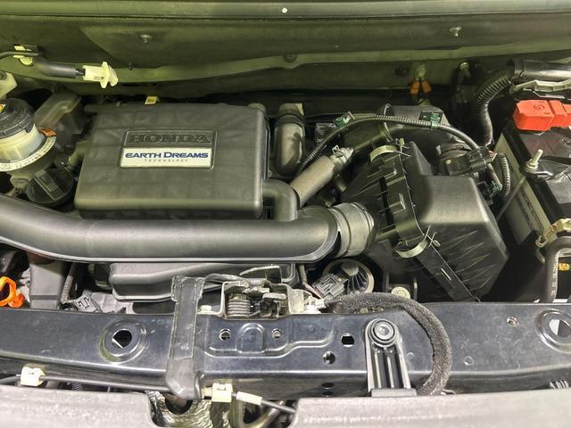 23149961_carP_l_16.jpg