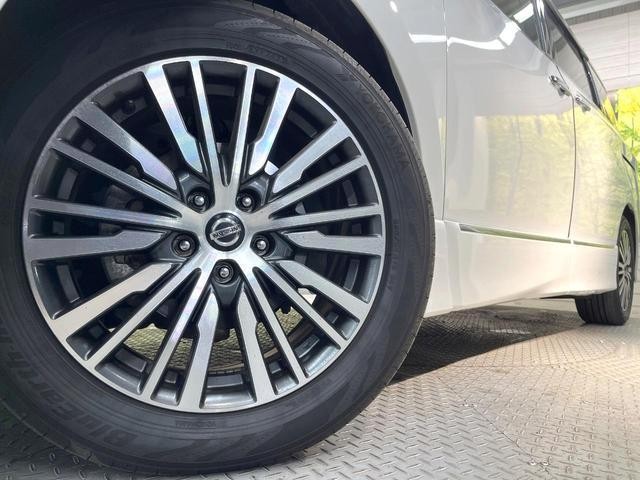 25591549_carP_l_8.jpg