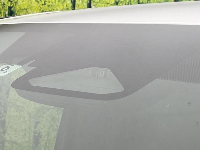 25364054_carP_l_14.jpg