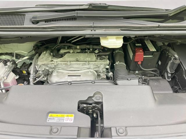 25364054_carP_l_18.jpg