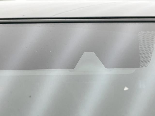 25754572_carP_l_10.jpg