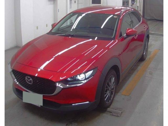 24170024_carP_l_17.jpg