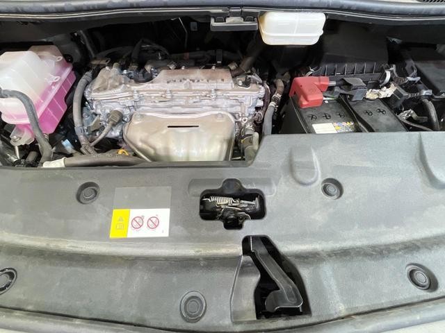 26209555_carP_l_16.jpg