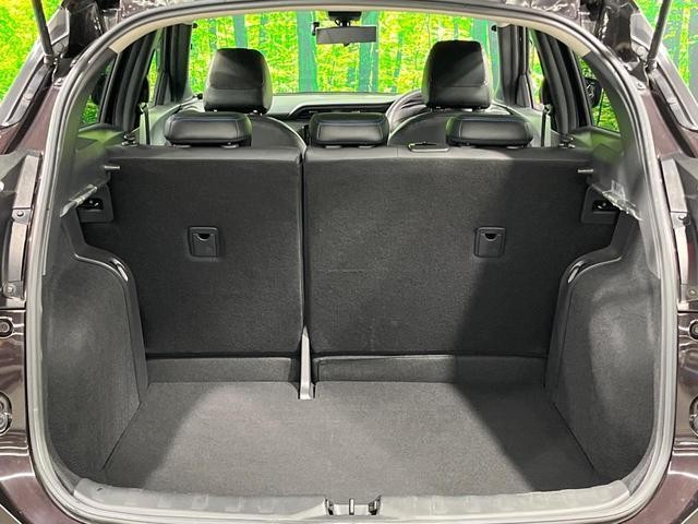 26688696_carP_l_2.jpg