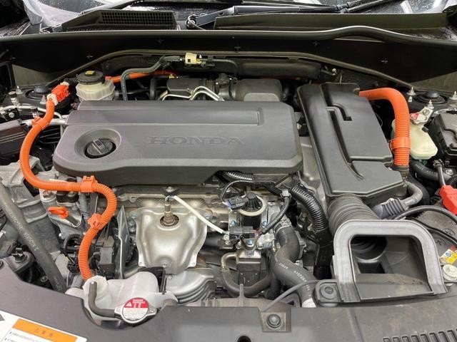 26335012_carP_l_16.jpg