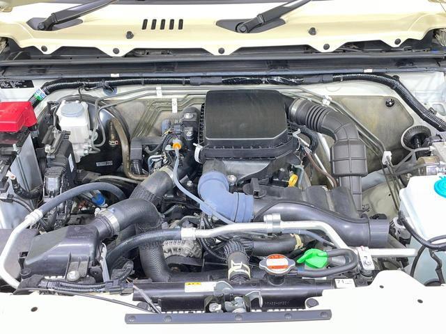 24995547_carP_l_16.jpg