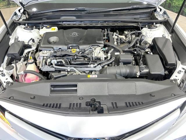 26534491_carP_l_18.jpg