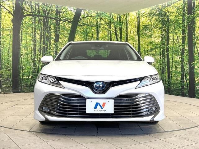 26534491_carP_l_9.jpg