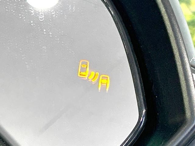 26534492_carP_l_4.jpg