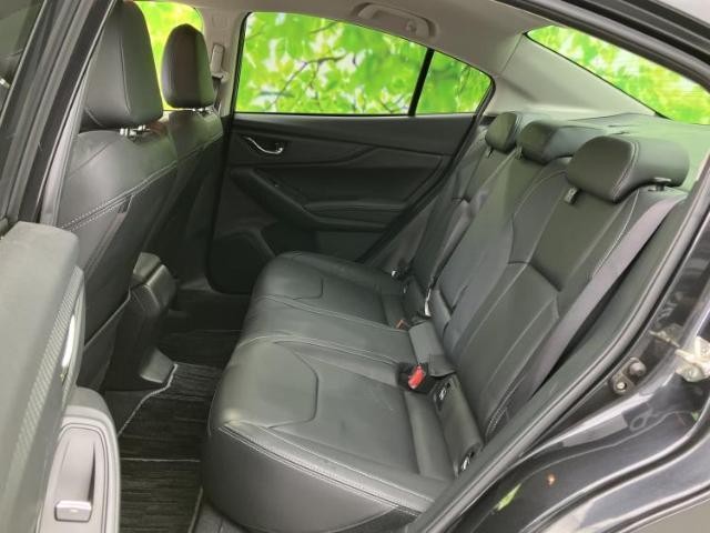 24345710_carP_l_14.jpg