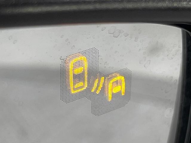 25734548_carP_l_13.jpg