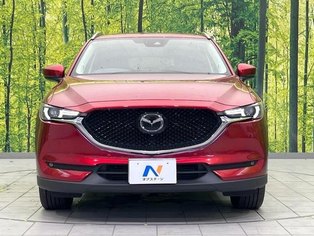 26146768_carP_l_8.jpg