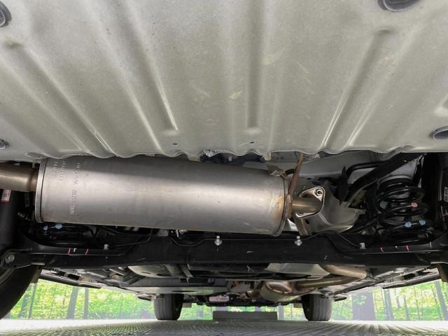 26534524_carP_l_20.jpg
