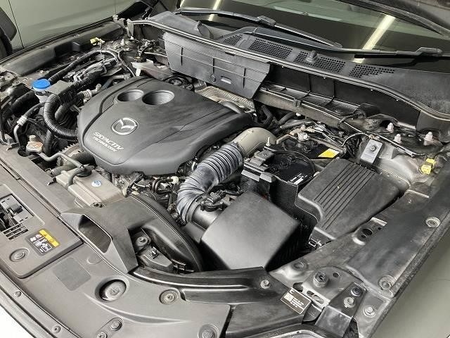 25009401_carP_l_16.jpg