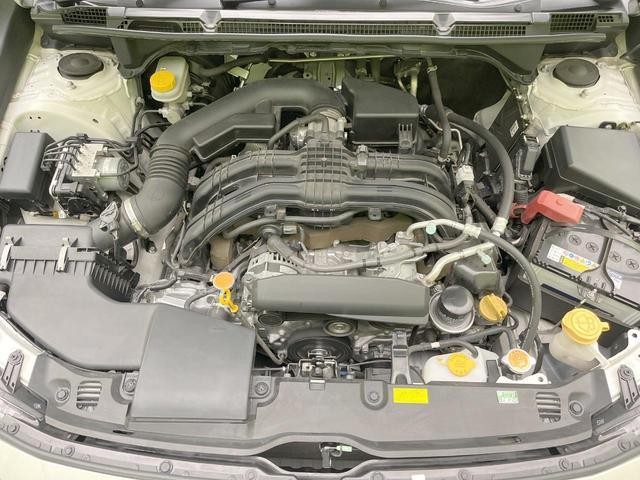 25549490_carP_l_16.jpg