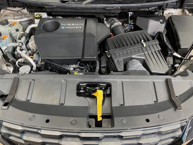 23225962_carP_l_18.jpg
