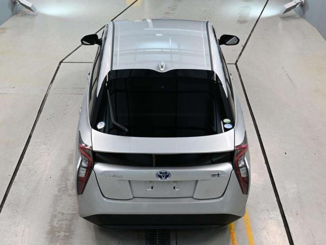 27095139_carP_l_5.jpg