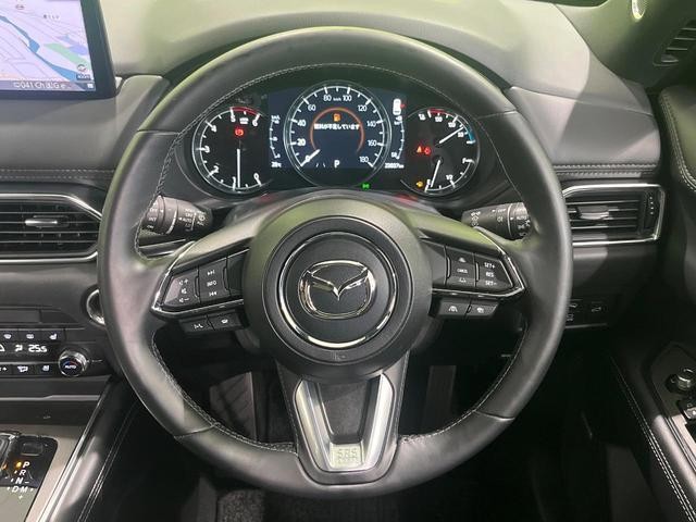 26210161_carP_l_6.jpg