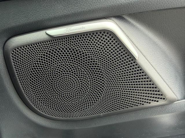 24539709_carP_l_19.jpg