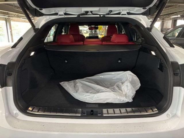 24341322_carP_l_14.jpg