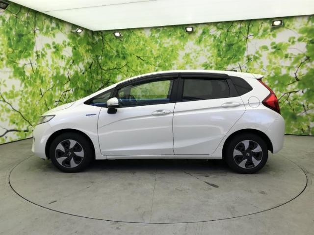 24346116_carP_l_3.jpg