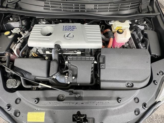 25010462_carP_l_17.jpg