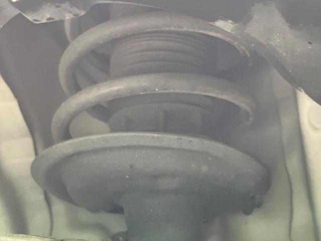 24320166_carP_l_20.jpg