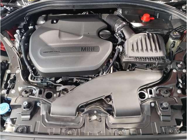 24950136_carP_l_6.jpg
