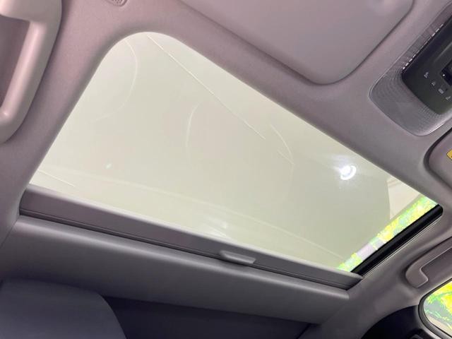 26126887_carP_l_15.jpg