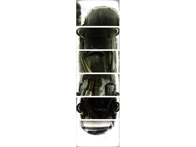26839384_carP_l_7.jpg