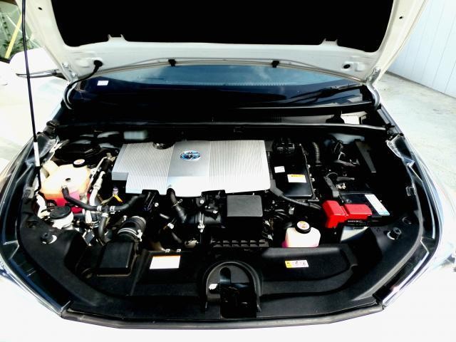 25480950_carP_l_2.jpg